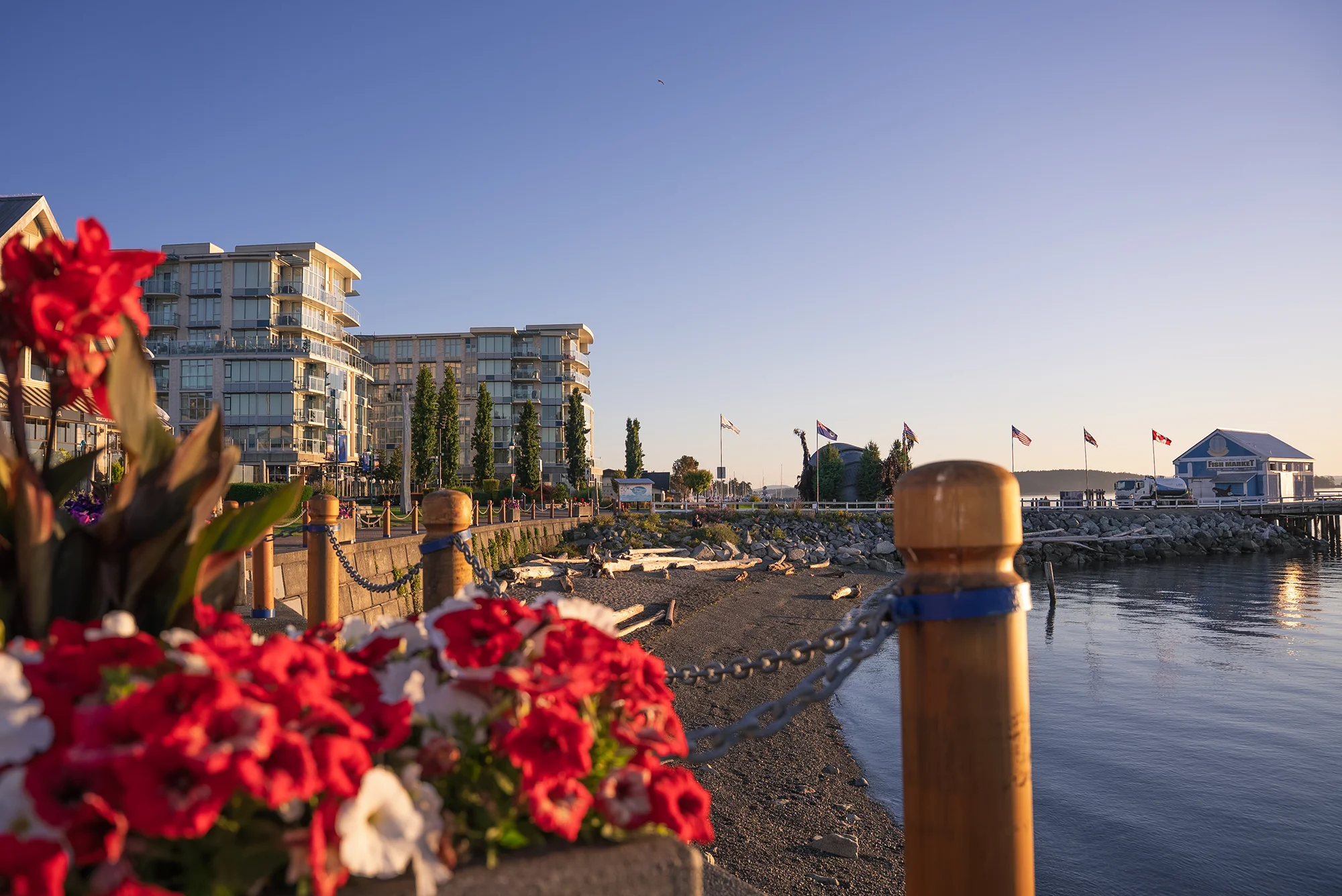 Sidney_Pier_Hotel_Revamp-69 1